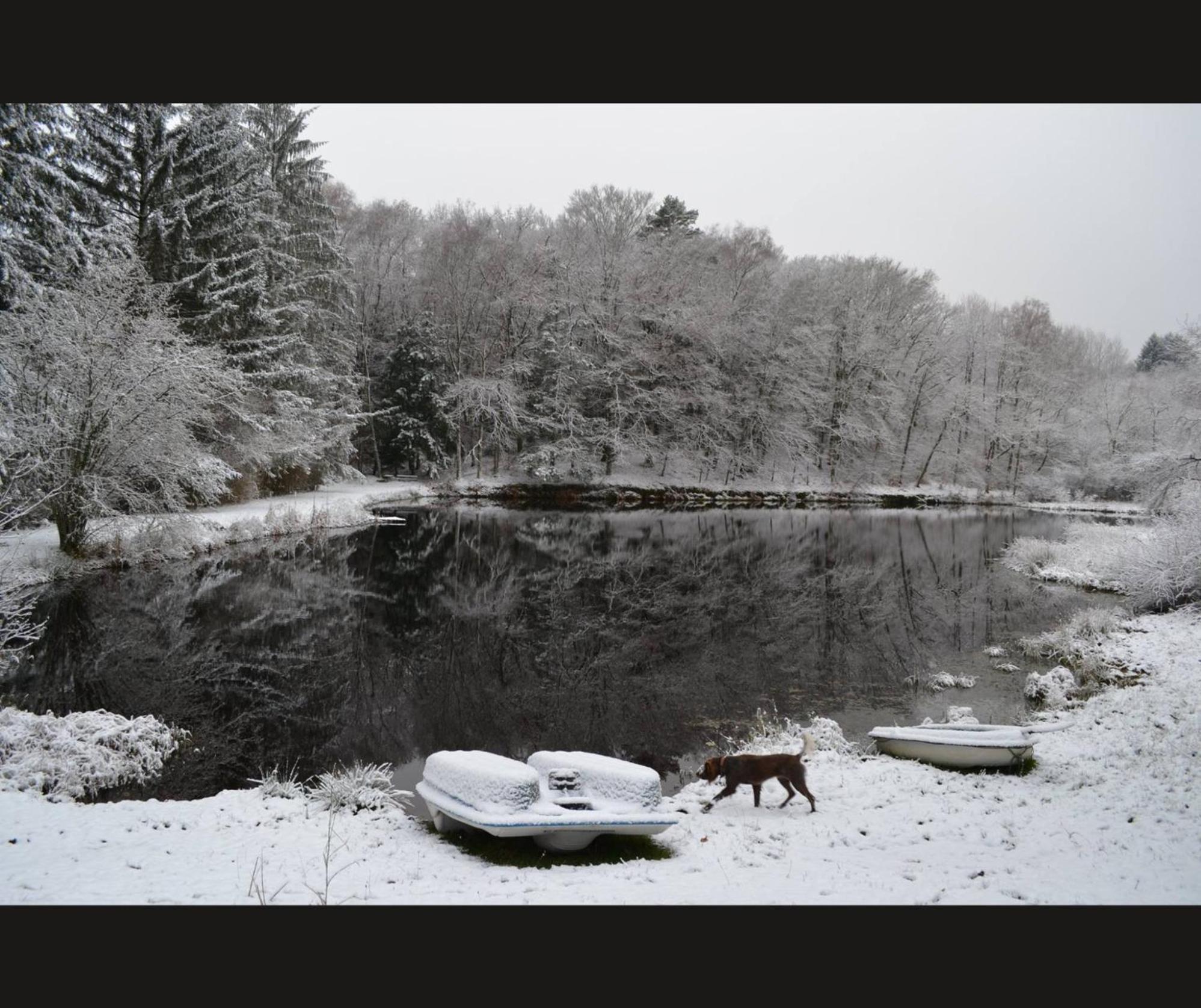 Cabane Limousine Au Bord D'Un Etang Bonnac-la-Côte المظهر الخارجي الصورة