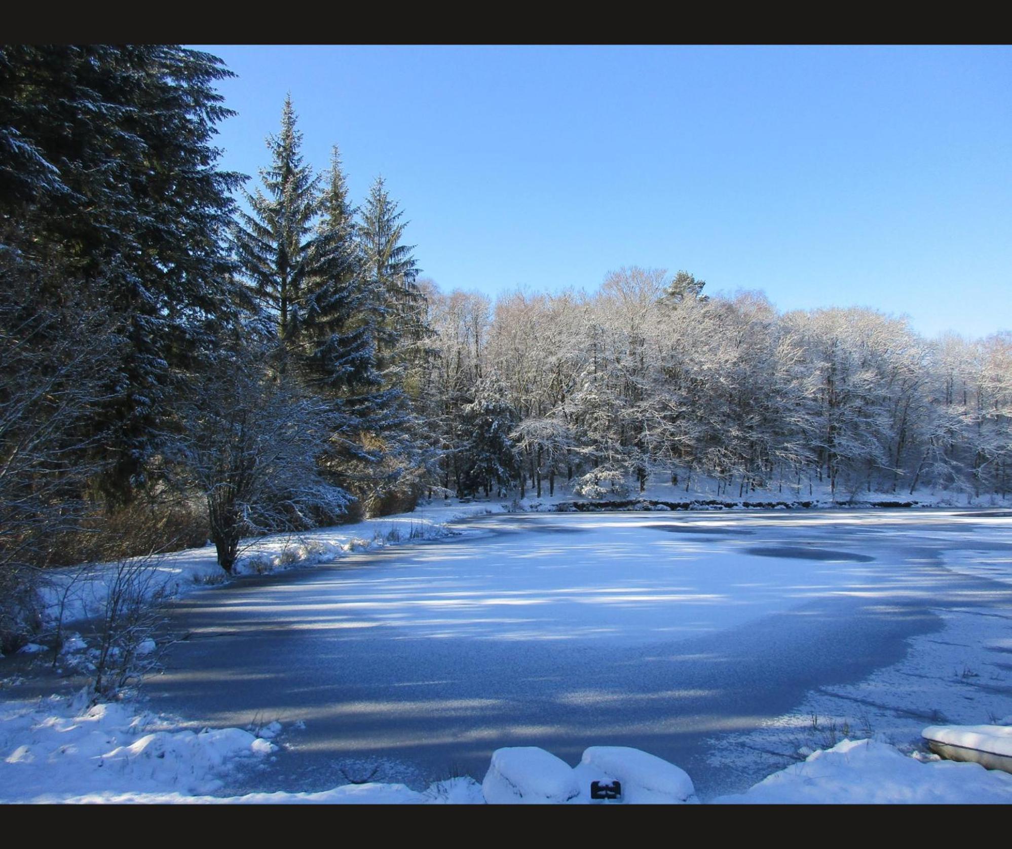 Cabane Limousine Au Bord D'Un Etang Bonnac-la-Côte المظهر الخارجي الصورة